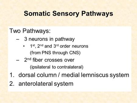 Somatic Sensory Pathways