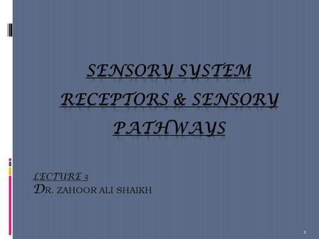SENSORY SYSTEM RECEPTORS & SENSORY PATHWAYS