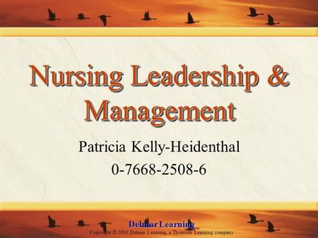 Delmar Learning Copyright © 2003 Delmar Learning, a Thomson Learning company Nursing Leadership & Management Patricia Kelly-Heidenthal 0-7668-2508-6.
