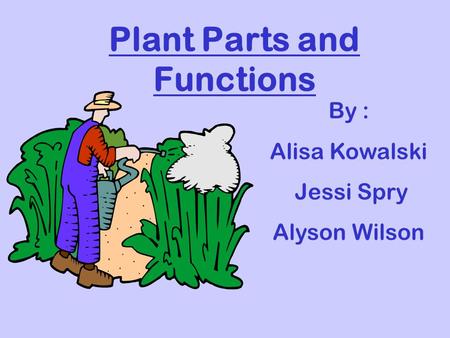 Plant Parts and Functions By : Alisa Kowalski Jessi Spry Alyson Wilson.