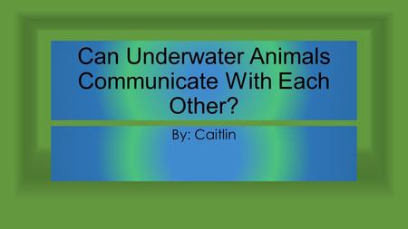 Can Underwater Animals Communicate With Each Other? By: Caitlin.