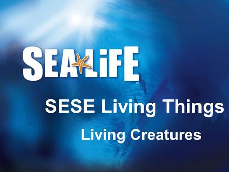 Living Creatures SESE Living Things. Living creatures All living creatures have to do the following things: Feed Reproduce Grow Move Sense.