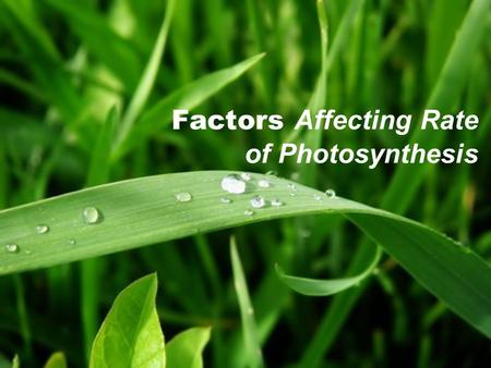 Factors Affecting Rate of Photosynthesis