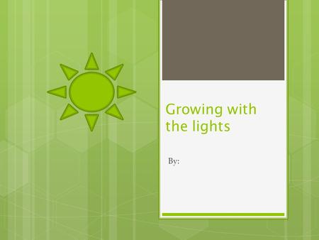 Growing with the lights By:. Question: How do different types of artificial light affect the growth of plants compared to sunlight? I asked that question,