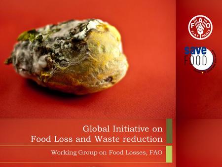 Global Initiative on Food Loss and Waste reduction Working Group on Food Losses, FAO.