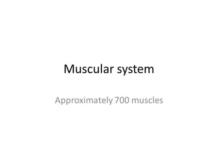 Approximately 700 muscles