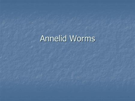 Annelid Worms Segmented worms Segmented worms 3 Classes: Oligochaetes- live in soil or freshwater Oligochaetes- live in soil or freshwater Ex.: earthworms.