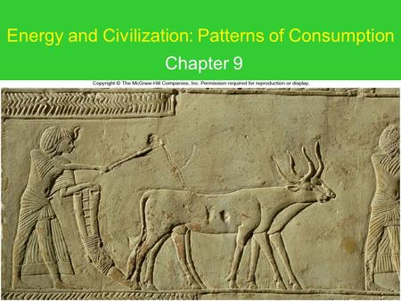 Energy and Civilization: Patterns of Consumption