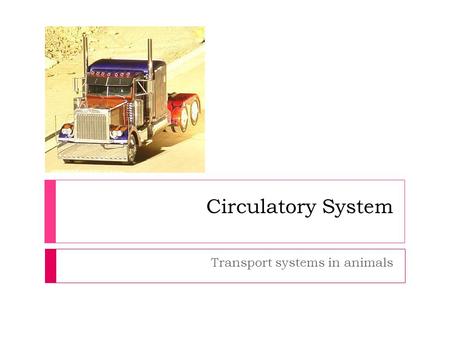 Circulatory System Transport systems in animals. Overview 1. Functions of a transport/circulatory system Functions of a transport/circulatory system 2.