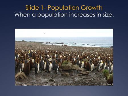 Slide 1- Population Growth When a population increases in size.