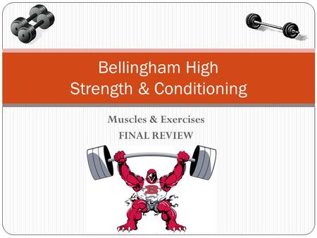 Muscles & Exercises FINAL REVIEW Bellingham High Strength & Conditioning.