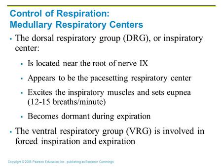 Copyright © 2006 Pearson Education, Inc., publishing as Benjamin Cummings Control of Respiration: Medullary Respiratory Centers  The dorsal respiratory.