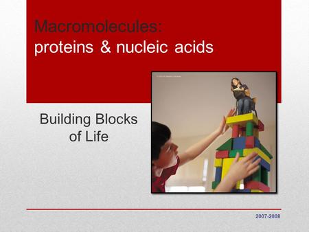 Macromolecules: proteins & nucleic acids Building Blocks of Life 2007-2008.