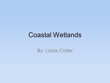 Coastal Wetlands By: Lizzie Crider. Location Transition zones : Both land and open water environments- Wetlands have both land and water characteristics,