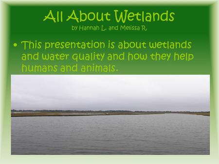 All About Wetlands by Hannah L. and Melissa R. This presentation is about wetlands and water quality and how they help humans and animals.