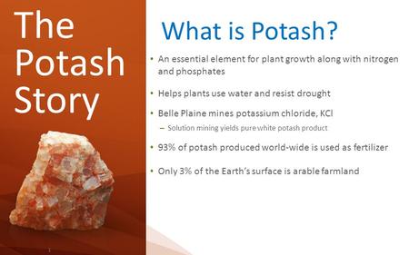 1 The Potash Story An essential element for plant growth along with nitrogen and phosphates Helps plants use water and resist drought Belle Plaine mines.