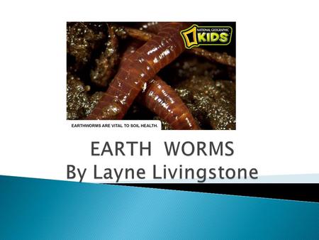  Although native to Europe earthworms are found all over the world.