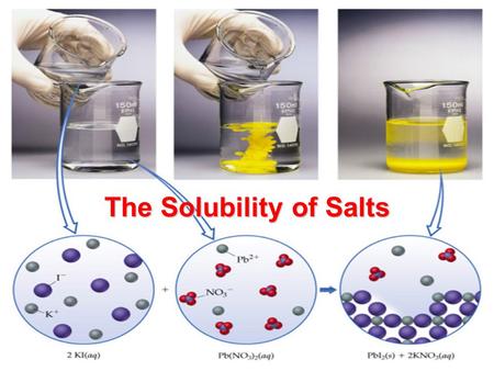 The Solubility of Salts
