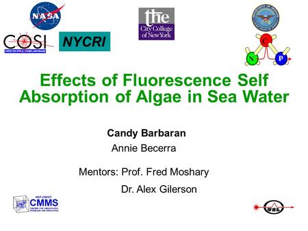 Effects of Fluorescence Self Absorption of Algae in Sea Water Candy Barbaran Annie Becerra Mentors: Prof. Fred Moshary Dr. Alex Gilerson NYCRI C N p.