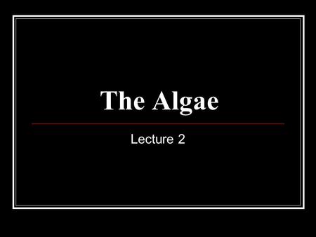 The Algae Lecture 2.