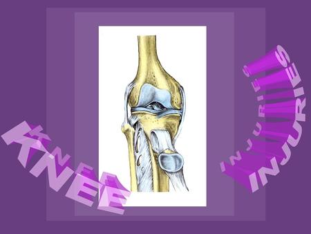 KNEE INJURIES Review Gross and Functional Anatomy. Discuss traumatic injuries to the knee. Discuss overuse injuries in and about the knee.