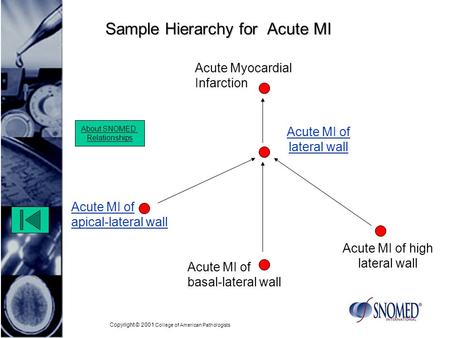 Copyright © 2001 College of American Pathologists Sample Hierarchy for Acute MI Acute MI of lateral wall Acute MI of apical-lateral wall Acute Myocardial.
