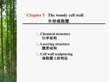 Chapter 5 The woody cell wall 木材细胞壁