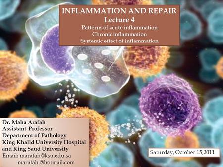 Upon completion of this lecture, the student should:  Compare and contrast acute vs. chronic inflammation with respect to causes, nature of the inflammatory.