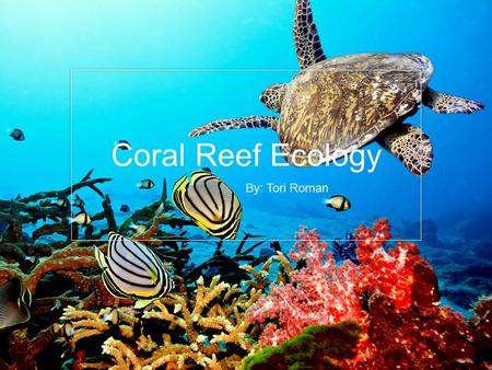Coral Reef Ecology By: Tori Roman. Personal Experience Summer of 2013 – Vacation in Dominican Republic Spontaneous idea to take a scuba dive tour Inform.