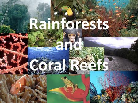 Rainforests and Coral Reefs