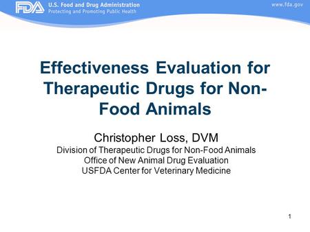 Effectiveness Evaluation for Therapeutic Drugs for Non-Food Animals