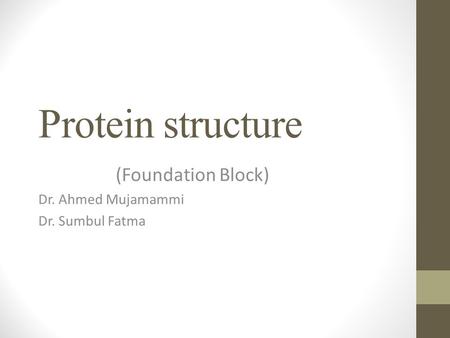(Foundation Block) Dr. Ahmed Mujamammi Dr. Sumbul Fatma
