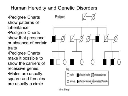Human Heredity and Genetic Disorders