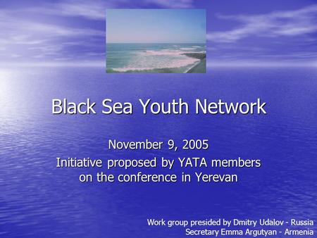 Black Sea Youth Network November 9, 2005 Initiative proposed by YATA members on the conference in Yerevan Work group presided by Dmitry Udalov - Russia.