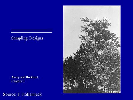 Sampling Designs Avery and Burkhart, Chapter 3 Source: J. Hollenbeck.