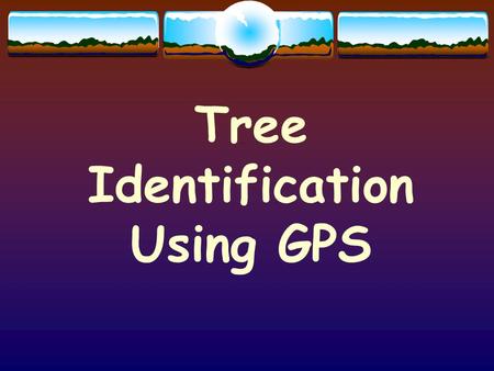 Tree Identification Using GPS.  What is GPS and how does it work? GPS - Global Positioning System.