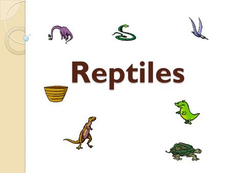 Reptiles. Diversity Diversity Diversity ◦ Found on every continent but Antarctica ◦ Mainly found in tropics and subtropics ◦ Produce some heat  Do not.
