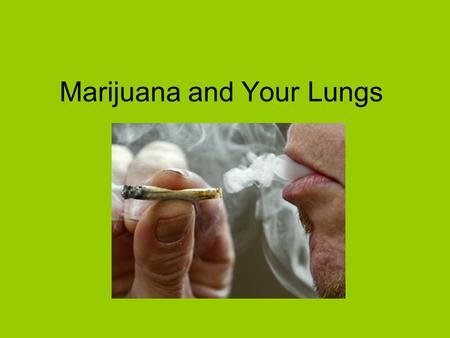 Marijuana and Your Lungs. What is Marijuana? Marijuana is the most widely used illegal drug in North America. It is a mixture of dry, shredded flowers,