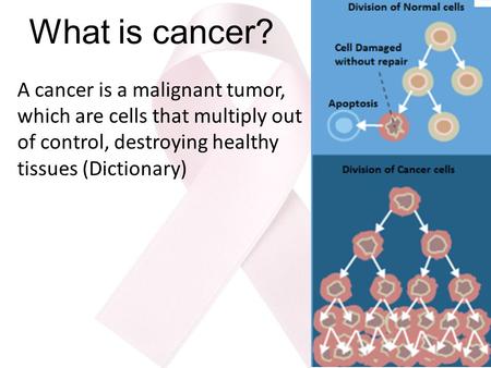 What is cancer? A cancer is a malignant tumor, which are cells that multiply out of control, destroying healthy tissues (Dictionary)