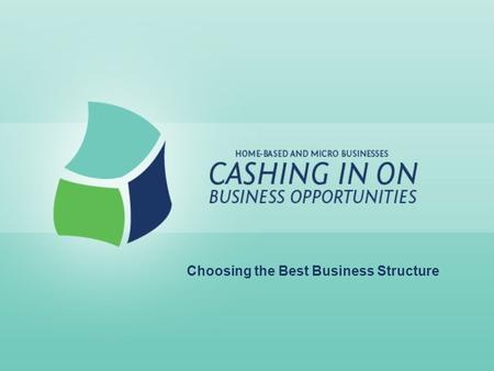 Choosing the Best Business Structure