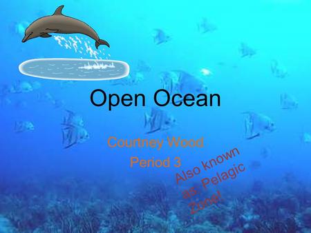 Open Ocean Courtney Wood Period 3 Also known as: Pelagic Zone!