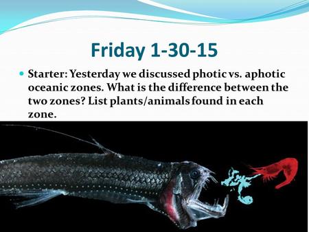 Friday 1-30-15 Starter: Yesterday we discussed photic vs. aphotic oceanic zones. What is the difference between the two zones? List plants/animals found.