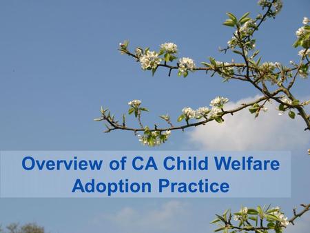 Overview of CA Child Welfare Adoption Practice. Welcome!!!