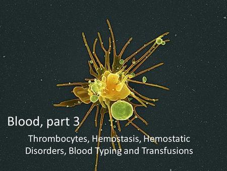 Blood, part 3 Thrombocytes, Hemostasis, Hemostatic Disorders, Blood Typing and Transfusions.