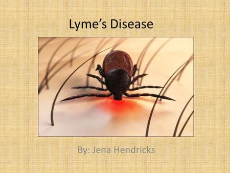 Lyme’s Disease By: Jena Hendricks.