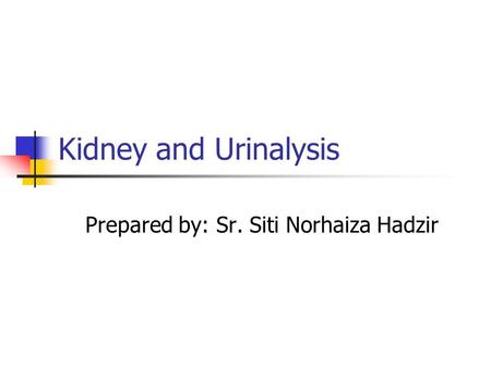 Kidney and Urinalysis Prepared by: Sr. Siti Norhaiza Hadzir.
