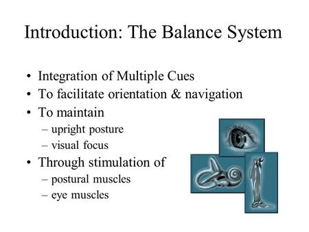 Introduction: The Balance System Integration of Multiple Cues To facilitate orientation & navigation To maintain –upright posture –visual focus Through.