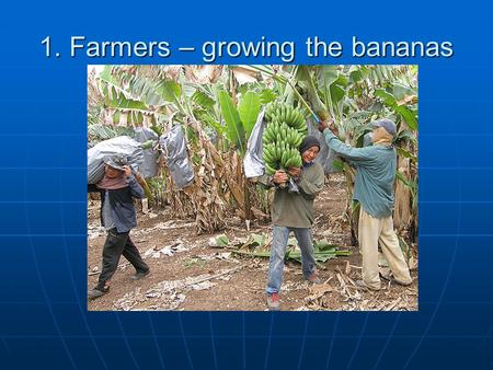 1. Farmers – growing the bananas. 2. Sorting and packaging bananas at the warehouse.