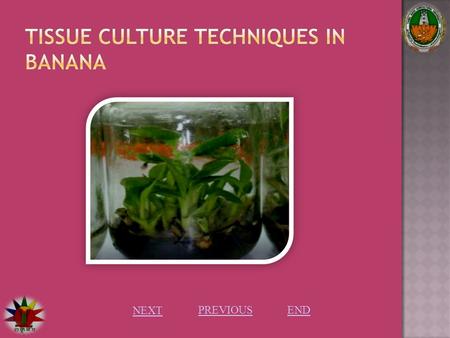 NEXT PREVIOUS END. Introduction: Plant tissue culture: Plant tissue culture is culturing of any part of the plant in a specially defined growth media.