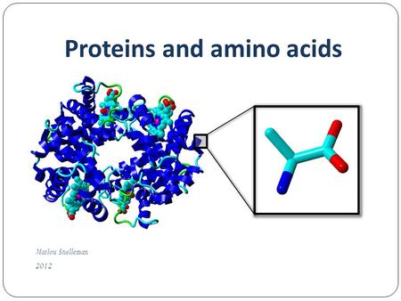Marlou Snelleman 2012 Proteins and amino acids. Overview Proteins Primary structure Secondary structure Tertiary structure Quaternary structure Amino.